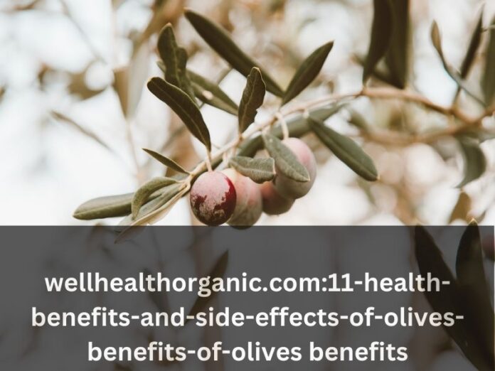 wellhealthorganic.com:11-health-benefits-and-side-effects-of-olives-benefits-of-olives benefits